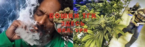 ПСИЛОЦИБИНОВЫЕ ГРИБЫ Верея