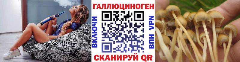 Галлюциногенные грибы Cubensis  blacksprut ссылки  Елабуга 
